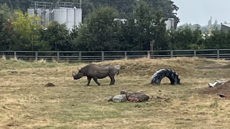 Visiting Yorkshire Wildlife Park